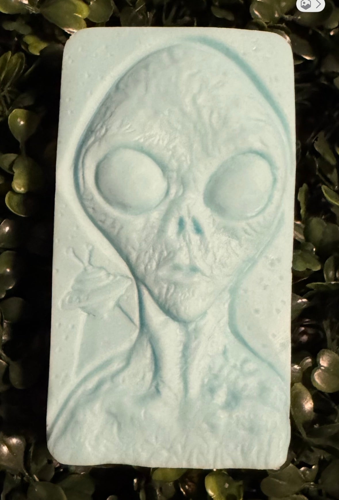 Mystery Cryptid Shaped Soap